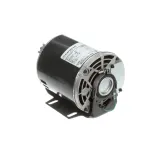 Multiplex 5009598 Motor, Carb Pump, 120/240V