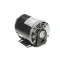 Multiplex 5009598 Motor, Carb Pump, 120/240V