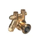 Multiplex 5009613 Pump, Brass, Rotary Vane, 125 GPH