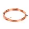 Victory 50199101 Capallary Tubing, .049 x 10