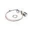 Bunn 50305.0003 WIRING HARN, DISP BUTTON W/SW H3E/H3EA