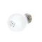 Victory 50357701 Light Buld, Incandescent, 120 Volt, 40 Watt, Coated