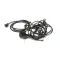 Beverage Air 504-291C WIRING HARN.UCF/WTF67FREEZER