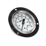LVO 509-5060 Pressure Gauge, 2 1/2", 0 - 100PSI