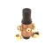 LVO 510-5021 Pressure Regulator, 1/2"