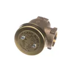LVO 510-5052 Vacuum Breaker, Watts, 1", RW1548