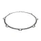 LVO 510-5095 Gasket, Extension Bracket, Berkeley Pump