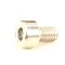BKI 5111042 Screw, Allen Head, Ignitor/Flame Sensor