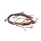 Blodgett 51751 HARNESS,FRONT,XR8-G,SSD,2SPEE