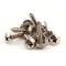 Manitowoc Ice 5202239 Screw, Front Cover, 8 x 3/4, Philips, Truss Head, 10 Pack