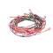 Middleby 52234 WIRESET,GAS SIDE GO PS536GS
