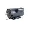 Stoelting 522858-SV Motor, 115-208-230V, 60HZ, 1PH