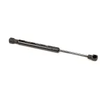 Duke 524332 Gas Shock/Strut, GGN43-050-L with EF120 Ends