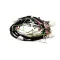 Cleveland 5256456 Wire Harness, X40, Sprayer including Clean, Convotherm 4