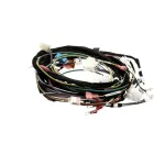 Cleveland 5256874 WIRING LOOM X23 BOILER INCL.