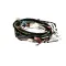 Cleveland 5256874 WIRING LOOM X23 BOILER INCL.