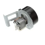 Amana Menumaster 53002049 Blower Motor Assembly, 120V, 60HZ