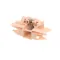 Frigidaire 5304460923 Door Latch, Dishwasher