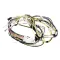 Frigidaire 5304518022 HARNESS,WIRING,MAIN