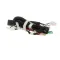 Frigidaire 5304521786 Power Cord/Wire Harness Assembly, Refrigerator