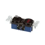 International Cold Storage 5370 Switch with Indicator Light