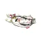 Amana Menumaster 54116045 Wire Harness, Main