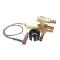 Kolpak 550006094 VALVE DTC