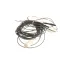 Minus Forty 5569 Cabinet Sensor
