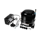 International Cold Storage 5590 COMPRESSOR CAJ2464Z-A 115/60HZ