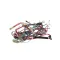 Amana Menumaster 56002022 Main Harness