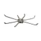 Jackson 5700-000-31-47 WASH HEAD ASSEMBLY SMALL M-15