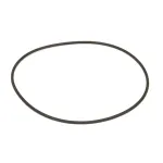 Saniserv 58962 O-Ring, 9.5" ID x 9.875" OD