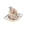 Anets 60147801 High Limit Thermostat, with Manual Reset