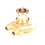 Cornelius 60170LL Pump with Strainer, Low Lead, 125 GPH