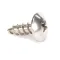 Saniserv 60309 Screw, Phillips Truss Head, #10 x 1/2"