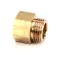Cleveland 6064053 Adaptor, Fitting, 3/4" Female x 3/4" Male, Brass