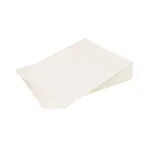 Giles 60818 Filter Paper, GFSE, 17 1/8" x 24 1/8"