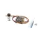 Cornelius 620060021 Initiate Pressure Timer Kit