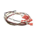 Cornelius 620316443 Solenoids Power Harness, 4 Flue, F/B