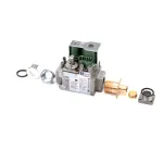 Angelo Po 6301018 Gas Valve, 120V, 60HZ, Natural Gas