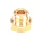 Schaerer 63643 Nipple, Temperature Sensor