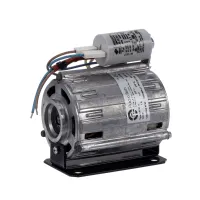65003 Schaerer