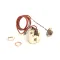 Cleveland 65070075 THERMOSTAT,SAFETY CHAMBER,CCG2