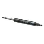 Structural Concepts 66059 GAS RAM VIELER 600N