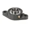 Adamation 70-0455-208 BEARING, MCGILL, 2 HOLE FLANGE