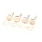 Antunes 7000790 Platen Bolt Kit, VCT-2010, VCT-2010 Gen. 4