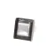 Antunes 7001338 Switch, Momentary, Clear
