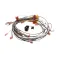 Antunes 7001379 Wire Harness Kit, 0700931