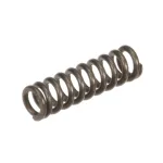Oliver 7012-3107 Compression Spring, Stainless Steel