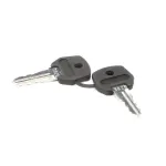 Stoelting 719102-KY Keys, for 2 Position Switch, M202